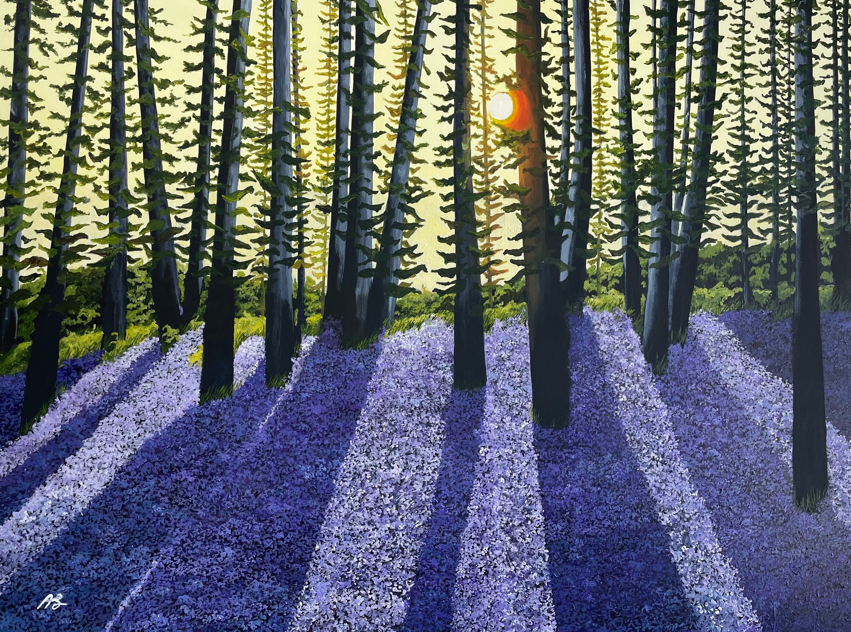 Purple Sunshine II 40x30" $1300