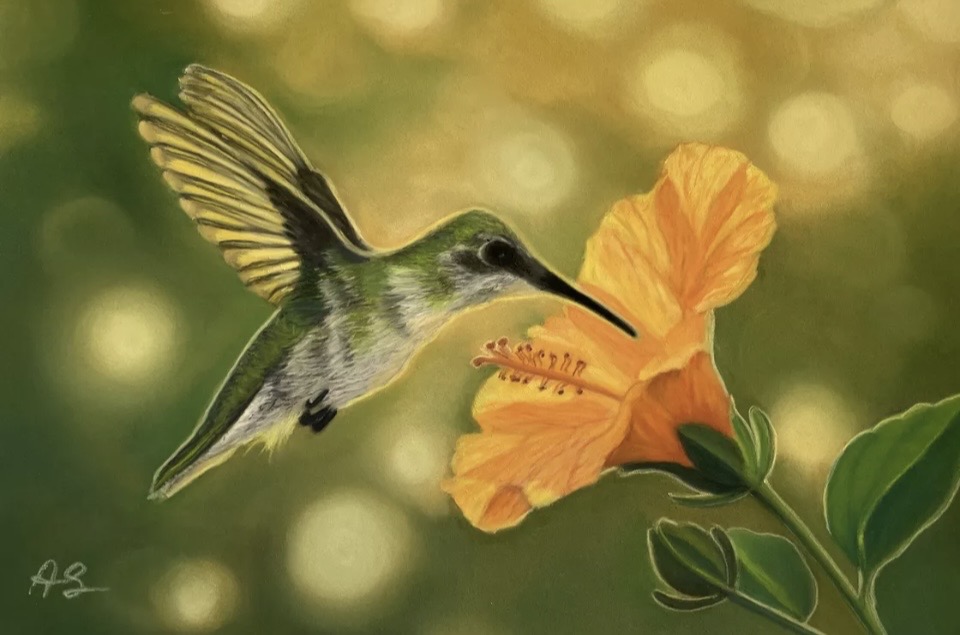 Realistic pastel painting by Anne Shaughnessy depicting a hummingbird in flight, taking nectar from a flower.