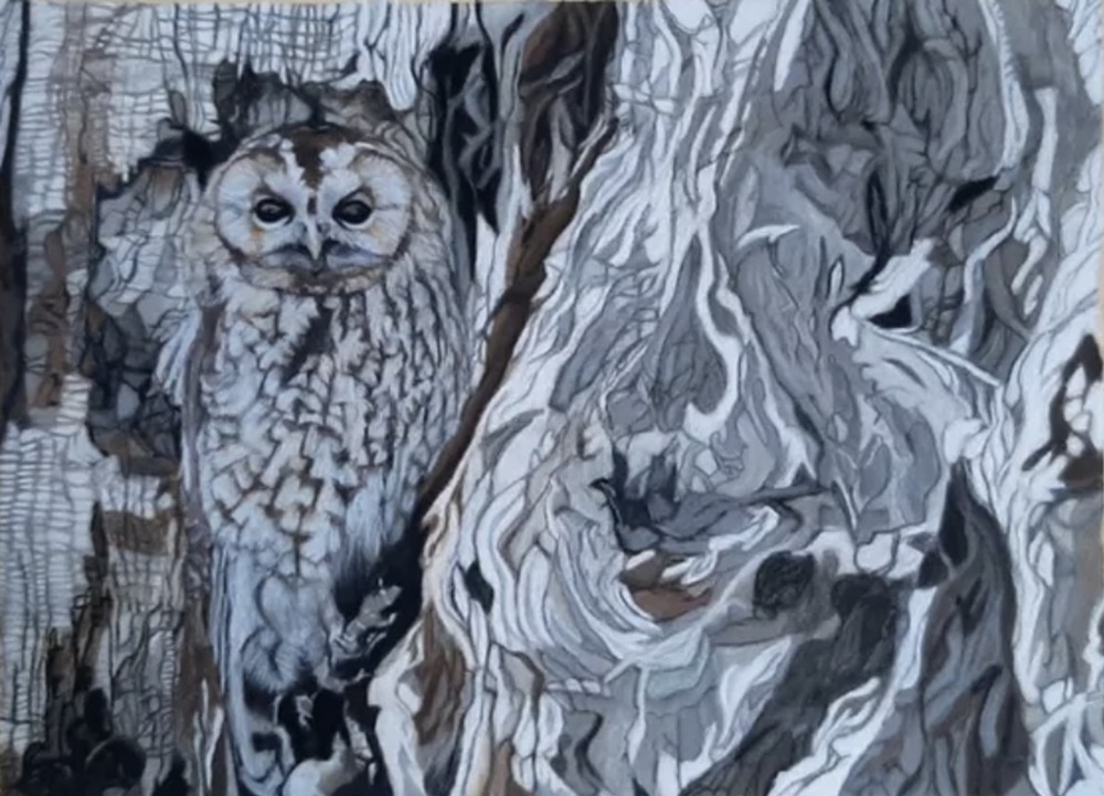 Realistic pastel painting by Anne Shaughnessy depicting an owl camouflaged in a tree.