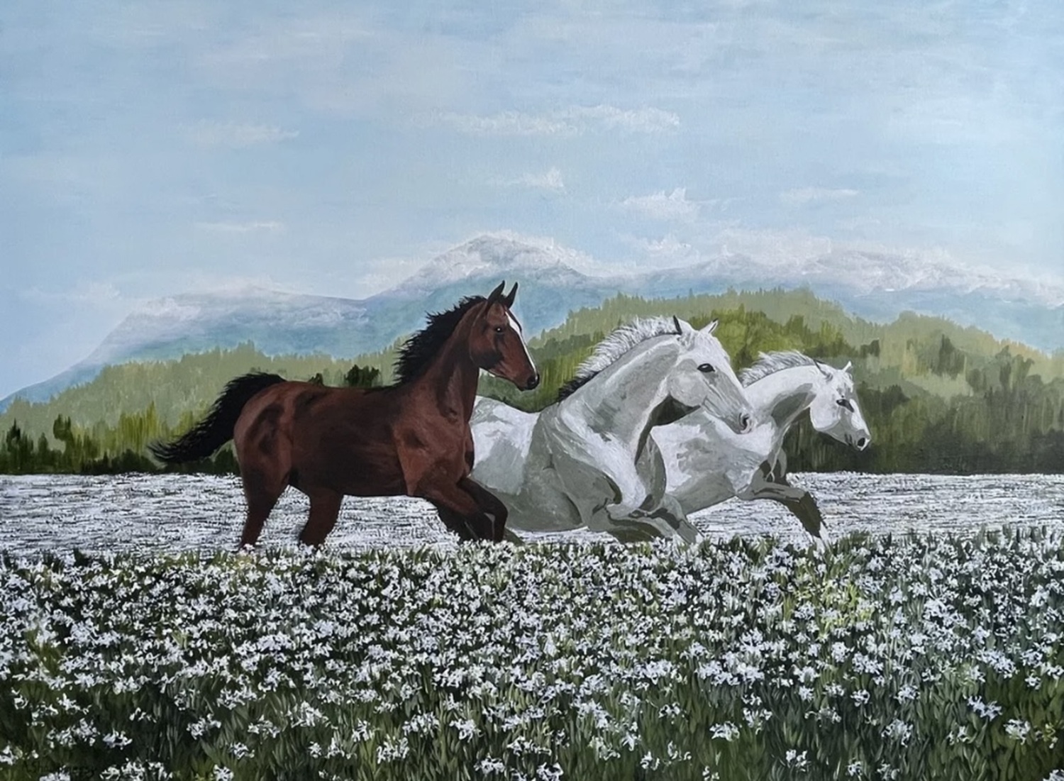 Original Acrylic Painting by Anne Shaughnessy depicting three horses galloping through white flower fields.